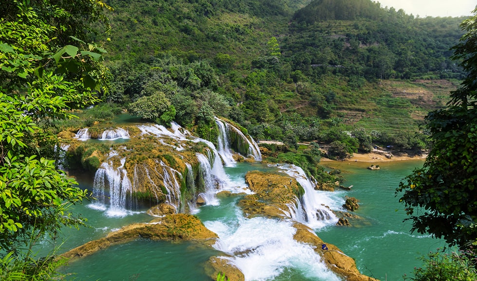 ������� ������� ������ 