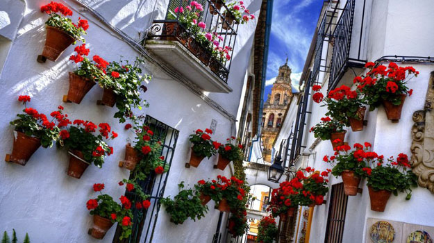 ��� � ������� �� ����������� 