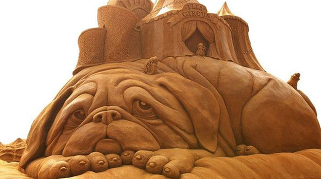 ����� � ������ � 2015 ����